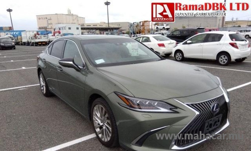 2020 Toyota LEXUS photo 6