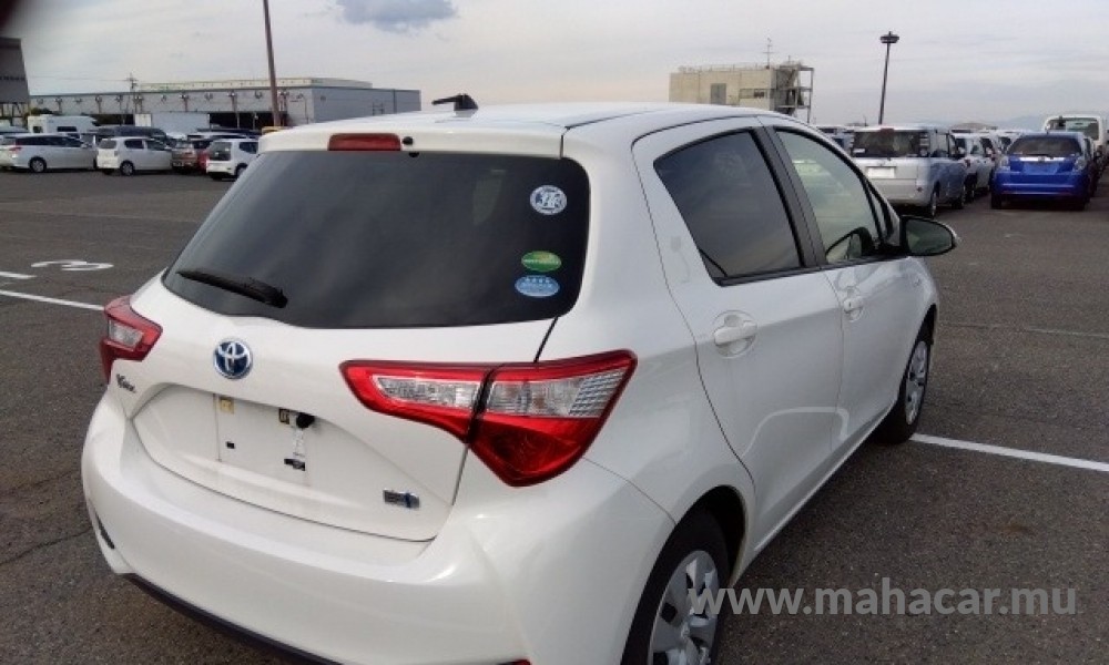 2019 Toyota VITZ HYBRID F photo 3