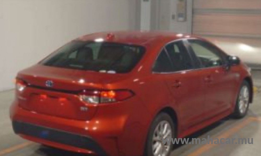 2019 Toyota Corolla photo 2